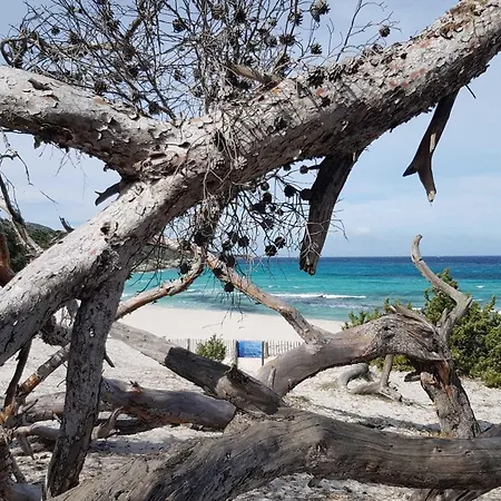 Hotell Perla Rossa 4*