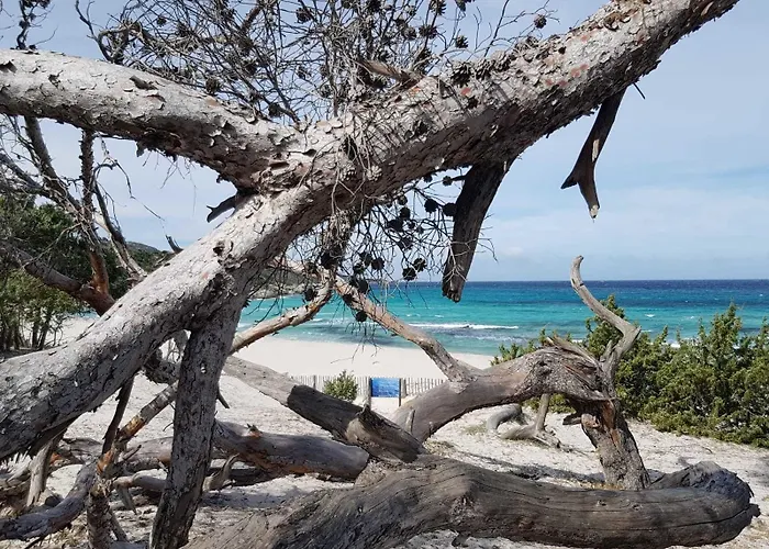 Hotel Perla Rossa 4*